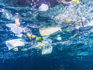 UK businesses make world-first Plastic Pact to slash plastic waste
