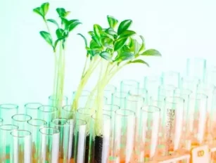Fresh-Pak teams up with University of Leicester to develop the food science