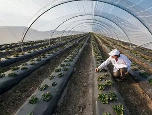 How France topped the Food Sustainability Index for a second year in a row