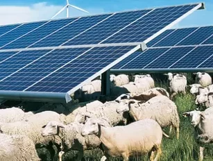The growing links between solar PV and agriculture
