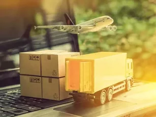 Llamasoft: delivering efficient time-to-value services