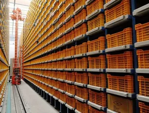 Why next-day delivery margins are more about strategic warehousing than shipping costs