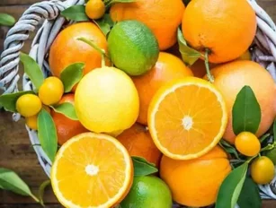 Florida gears up for Citrus Expo 2015