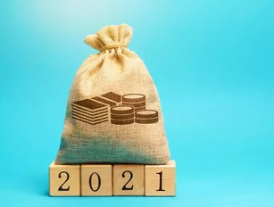 Will Public Procurement Budgets Increase in 2021?