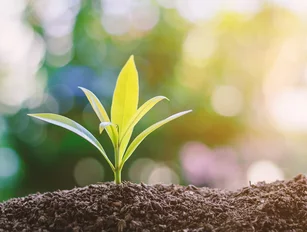 UPM joins Together for Sustainability initiative to enhance supply chain sustainability