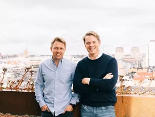 Tink closes 2020 with €175m in new investment