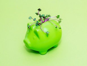 Fintech for good: how industry is addressing ESG concerns