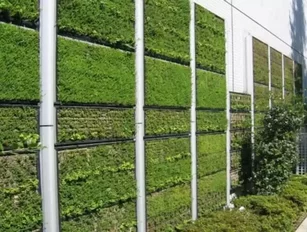 Green Walls to Cut Inner City Air Pollution