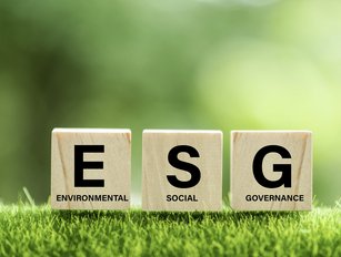 A beginner's guide to developing your company's ESG strategy