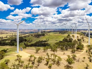 Global Wind Day: Clean Energy Council celebrates Australia