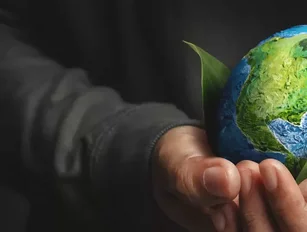 Five KPIs that businesses use to measure sustainability