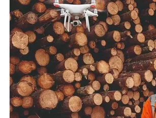 Stora Enso: digital disruption in manufacturing