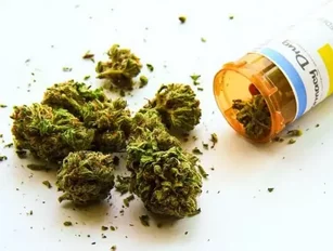 Canadian medical cannabis producers looking to expand overseas