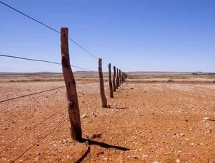 Adani announces Carmichael mine will go ahead with full self-funding