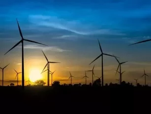 The Renewables Team: an inside look at the Clean Energy Coalition