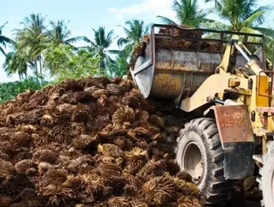 Fonterra removes uncertified palm oil from supply chain