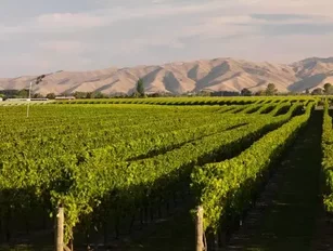 FuturMaster partners on Pernod Ricard supply chain overhaul