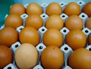 Egg scandal update: EU calls urgent summit as political panic rises