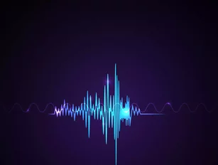 VibePay: First in Europe to offer voice-activated payments