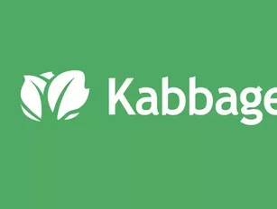 FinTech Profile: Kabbage, the fast-growing unicorn
