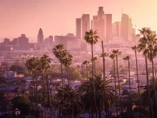 City Focus: Los Angeles