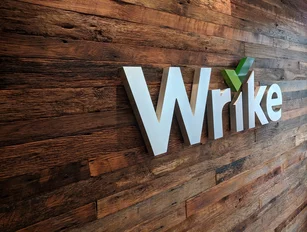 Wrike: Improving business processes with technology