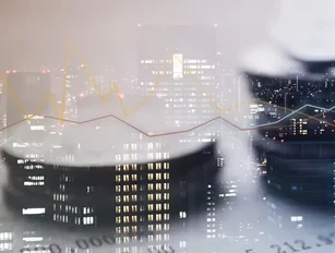 Savvy Crowdfunding and Community-Empowered Fintech Startups