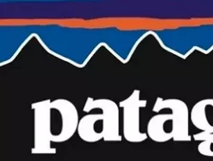 Meet the company: Patagonia proves purpose can be profitable