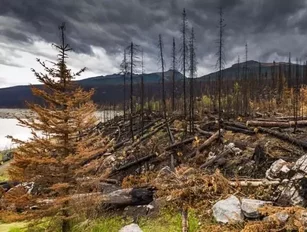 Central Bank: Canada’s energy sector to aid economic recovery from wildfires