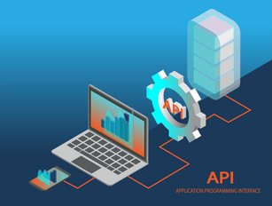 The development of Application Programming Interfaces (APIs)