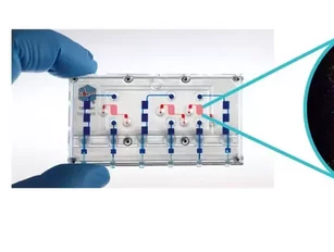 The future of drug development: organ-on-chips