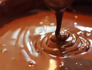 Fuji Oil set to acquire Blommer Chocolate