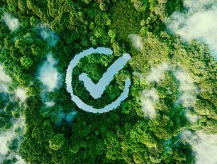 Are companies improving their sustainability reporting?
