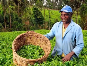 Solving the agricultural crisis in Africa for a more sustainable future