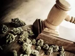 Price of Cannabis in Canada increases following legislation