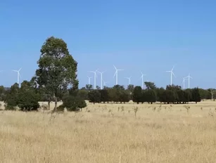 Octopus Australia acquires 180MW Dulacca Wind Farm from RES
