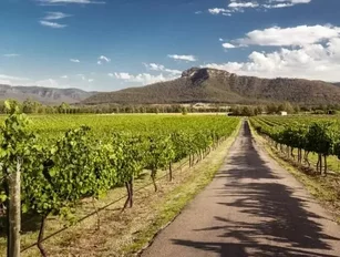 Australian wine exports grow with demand from China