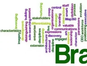 Is Integrating a Brand Management Strategy Right for you and your Business?