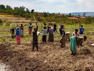 Rwanda’s GDP growth hits 8.8% year-on-year