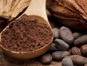 Archer Daniels Midland is Selling its Global Cocoa Business to Olam International