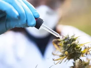 Tilray acquires Natura Naturals Holdings for $52mn