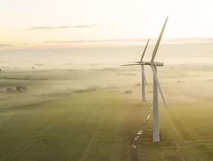 Hackett Group: Sustainable procurement best practices