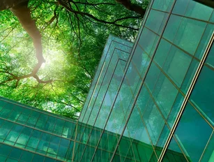 The 3 must-haves for your corporate sustainability report