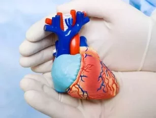 TOP 10: Greatest Breakthroughs in Cardiovascular Health That Can Save You In 2015