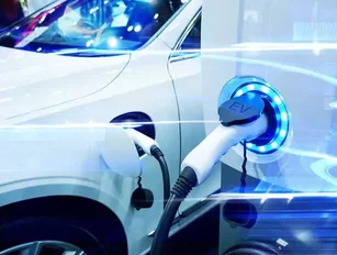 Unexpected bump on the EV road hits battery metals