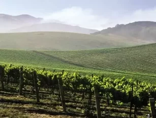 Fracking Near Vineyards in California a Good Idea?