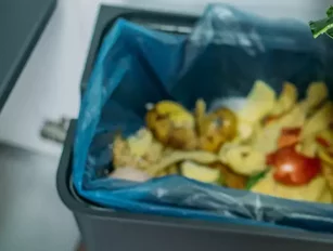 Orbisk to commercialise its system to tackle food waste