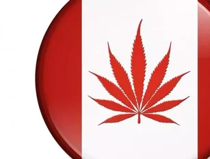 What legalised cannabis could mean for business in Canada