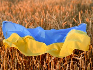 Ukraine & supply chain: Energy, food oils, microprocessors