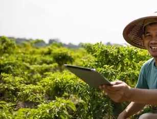 Microsoft brings tech solutions to Indonesian farmers